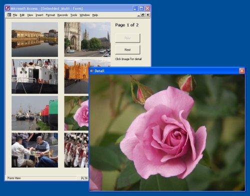 sample screenshot - Continuous Image Forms in Access - Paging - graphic photo picture database samples